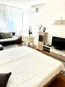 For rent Paris-5eme-arrondissement 1 room 31 m2 Paris (75005) photo 1