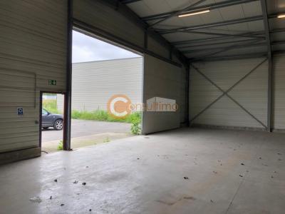 For rent Saint-loubes 700 m2 Gironde (33450) photo 3