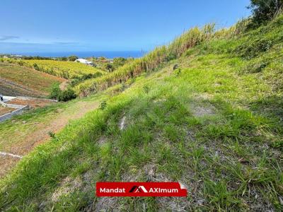 For sale Saint-pierre 473 m2 Reunion (97410) photo 1