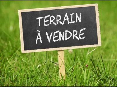 Annonce Vente Terrain Igny 91