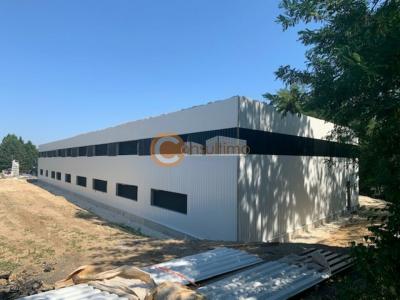 Louer Commerce 155 m2 Montussan