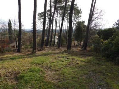 For sale Salavas 2514 m2 Ardeche (07150) photo 3