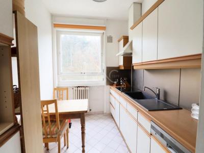 Acheter Appartement Sainte-foy-les-lyon Rhone