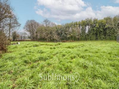 For sale Grand-champ 2700 m2 Morbihan (56390) photo 0