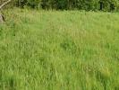 For sale Land Saint-laurent-de-brevedent  671 m2