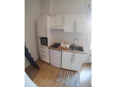 For rent Villeurbanne 1 room 21 m2 Rhone (69100) photo 0