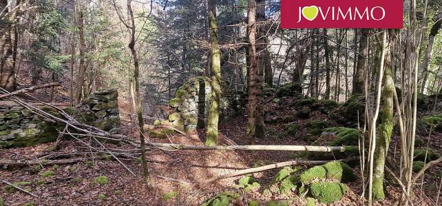 Acheter Terrain Lourdes 39000 euros