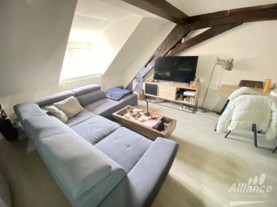 Louer Appartement 53 m2 Delle