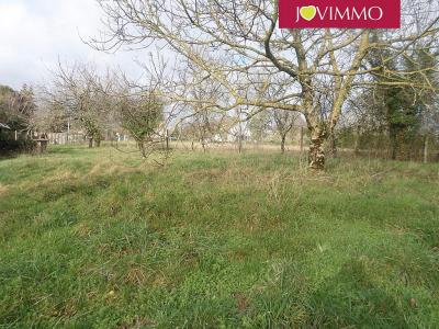 For sale Bouresse LHOMMAIZAA Vienne (86410) photo 2