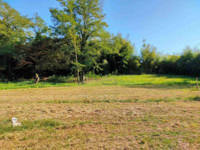 For sale Pompignac 1455 m2 Gironde (33370) photo 0