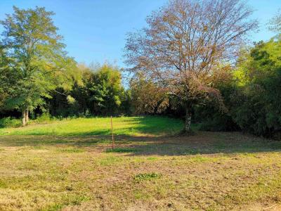 For sale Pompignac 1455 m2 Gironde (33370) photo 1