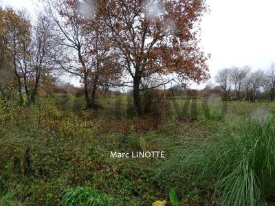 For sale Tartas Landes (40400) photo 0