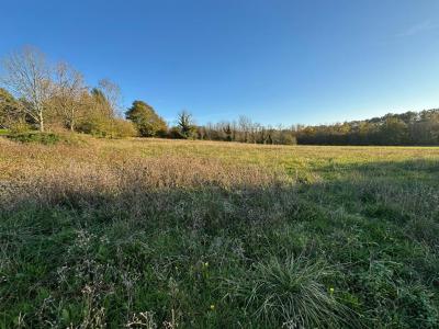 For sale Saint-jean-de-cole 3100 m2 Dordogne (24800) photo 0