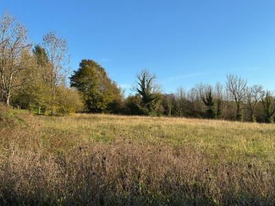 Annonce Vente Terrain Saint-jean-de-cole 24