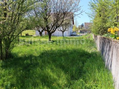 Acheter Terrain Besancon Doubs