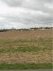 For sale Land Jarne  335 m2