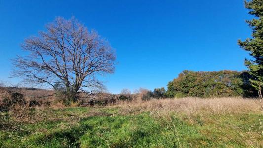 Acheter Terrain Saint-cesaire-de-gauzignan Gard