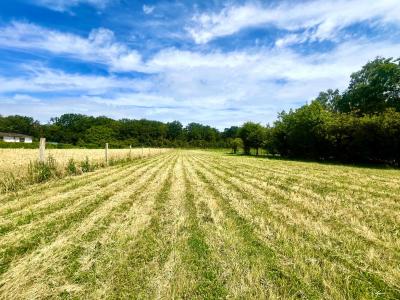 For sale Nemours Seine et marne (77140) photo 0