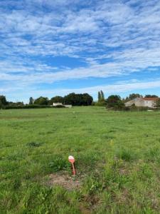 Acheter Terrain Chaniers Charente maritime