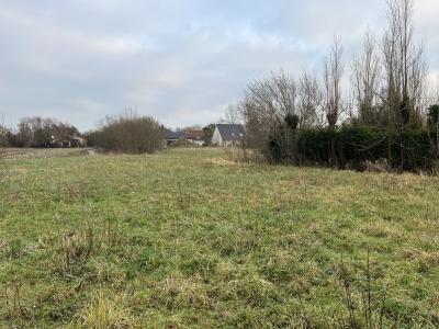 For sale Rang-du-fliers 2439 m2 Pas de calais (62180) photo 0