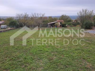 Annonce Vente Maison Aiguefonde 81