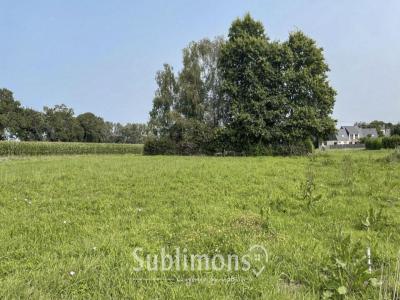 For sale Plescop 984 m2 Morbihan (56890) photo 1