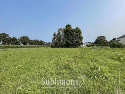 For sale Plescop 984 m2 Morbihan (56890) photo 3