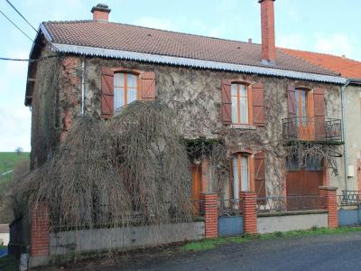 Annonce Vente 8 pices Maison Montfaucon-d'argonne 55