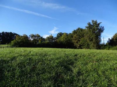 Acheter Terrain Isle-jourdain