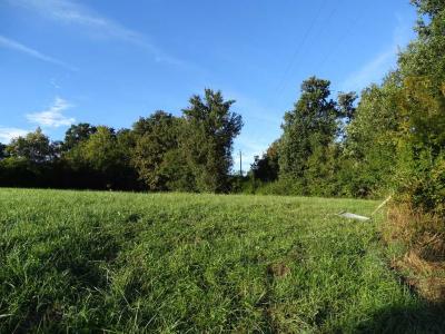 Acheter Terrain Isle-jourdain Gers