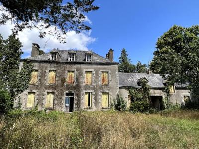 For sale Serent 10 rooms 350 m2 Morbihan (56460) photo 0