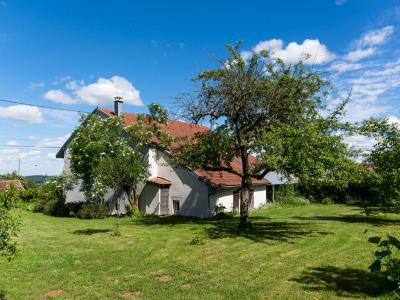 For sale Montbeliard 7 rooms 164 m2 Doubs (25200) photo 0