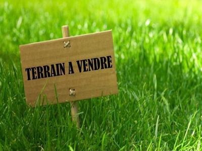 Annonce Vente Terrain Angles 85