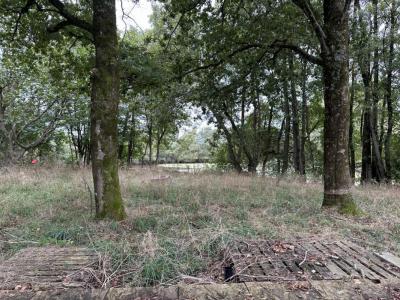 Acheter Terrain Chaille-sous-les-ormeaux 39000 euros