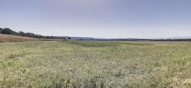 Acheter Terrain Chaponnay Rhone