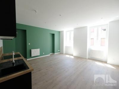 For rent Saint-etienne 3 rooms 77 m2 Loire (42000) photo 0