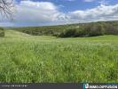 For sale Land Sarcos  32767 m2