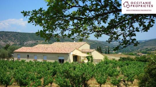 For sale Limoux 12 rooms 230 m2 Aude (11300) photo 0