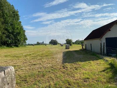 For sale Mouriez 4459 m2 Pas de calais (62140) photo 0