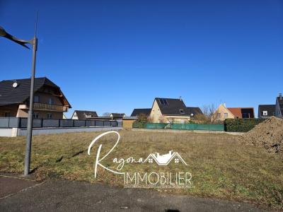 For sale Hombourg 700 m2 Haut rhin (68490) photo 1