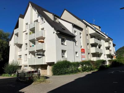 Annonce Location Appartement Thann 68