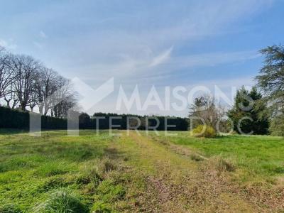 For sale Mazamet 100 m2 Tarn (81200) photo 1