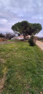 For sale Charmes-sur-rhone 493 m2 Ardeche (07800) photo 0