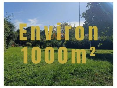 Acheter Terrain 1000 m2 Saint-michel-chef-chef