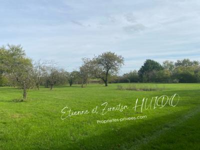 For sale Menetreols-sous-vatan 7147 m2 Indre (36150) photo 0