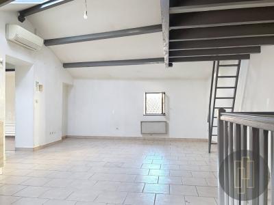 Annonce Vente 2 pices Appartement Villefranche-sur-saone 69