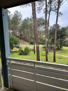 For sale Lacanau 3 rooms 44 m2 Gironde (33680) photo 3