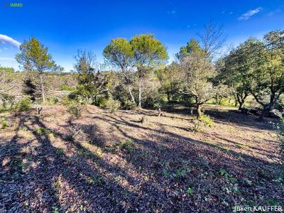 For sale Saint-maximin-la-sainte-baume Var (83470) photo 4