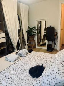 For rent Toulouse 3 rooms 56 m2 Haute garonne (31400) photo 3