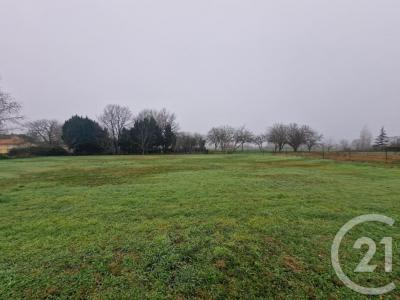 For sale Gaillan-en-medoc 1035 m2 Gironde (33340) photo 2